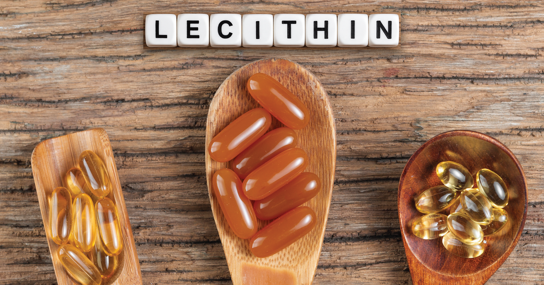 HIDDEN BENEFITS OF LECITHIN FOR HAIR HEALTH