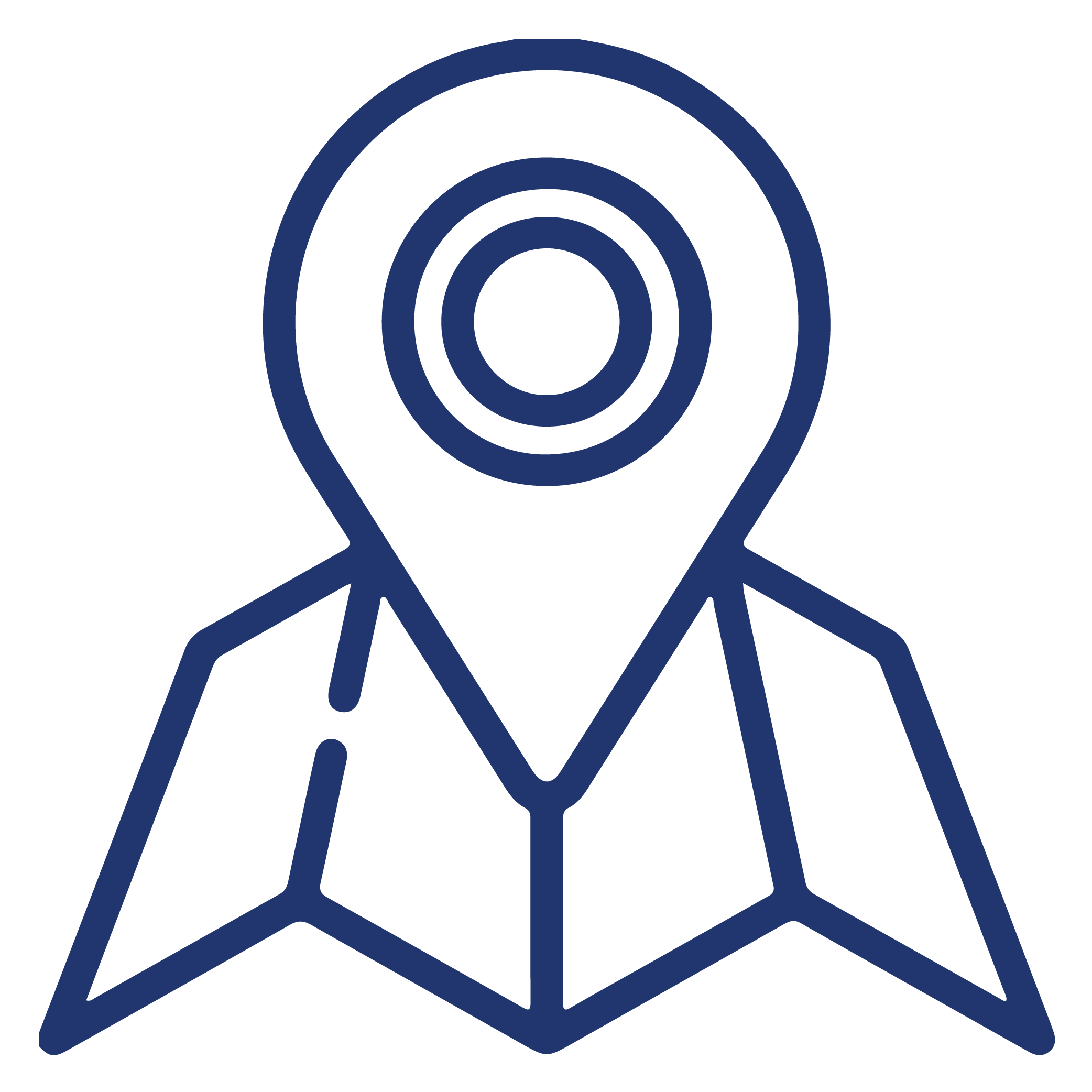 Location Icon